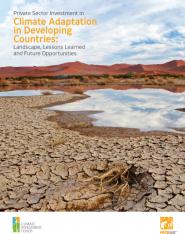 Private sector investment in climate adaptation in developing countries: landscape, lessons learned and future opportunities